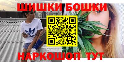 гидра Краснокаменск