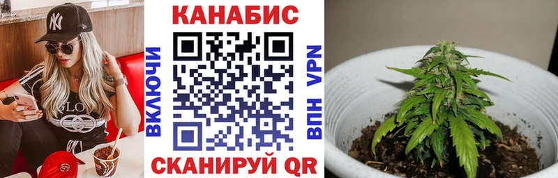 Марихуана сатива  где продают   Невинномысск 